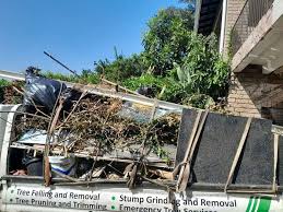 Best Property Management Cleanouts  in Mosinee, WI